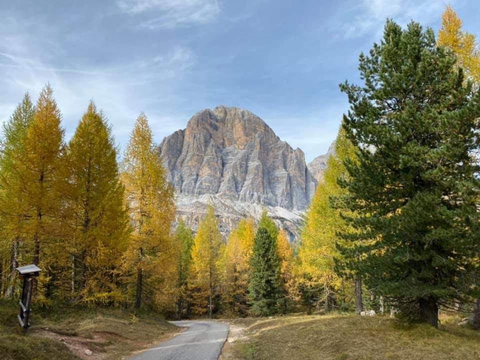 Camere Nordest Sudest- Conca Agordina Agordo Exteriör bild
